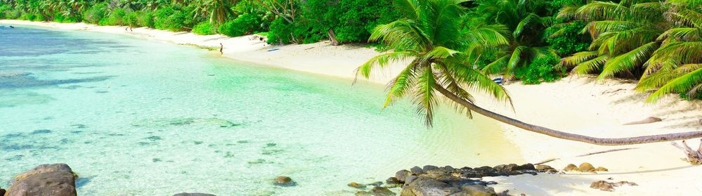 ����������� F5135