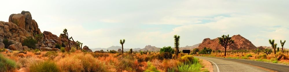 ����������� F11785