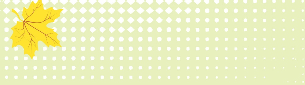 ����������� F8445