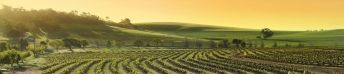 ����������� F11275
