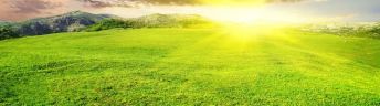 ����������� F2645