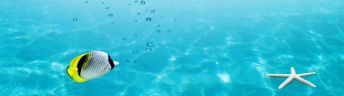 ����������� F4935