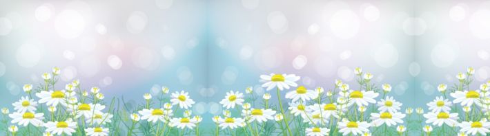 ����������� F9640