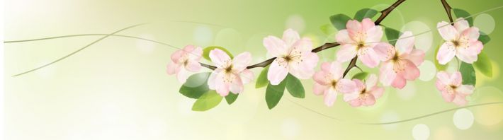 ����������� F9685