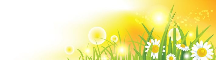 ����������� F8615
