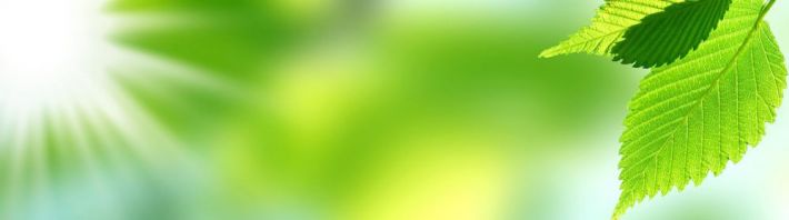 ����������� F11285